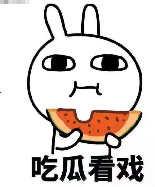 吃瓜传书,揭秘娱乐圈背后的秘密与八卦