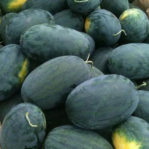 邯郸吃瓜新事件,揭秘背后真相与热议焦点