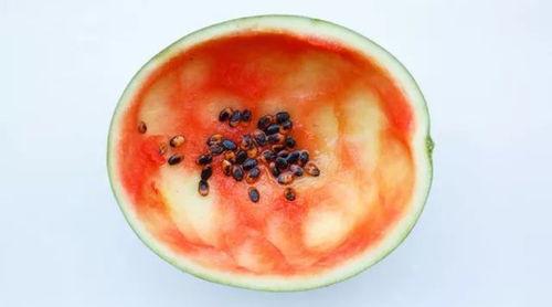 勺子家用吃瓜,解锁夏日清凉新姿势