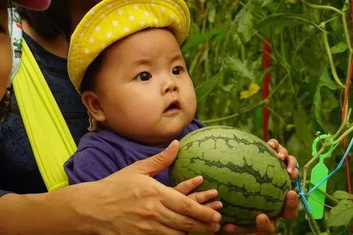 吃瓜群最新分享,娱乐圈风云再起！