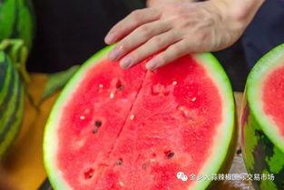 美国大学吃瓜,揭秘校园生活新潮流