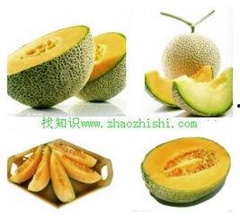 胃溃疡能否吃哈密瓜,哈密瓜的食用指南