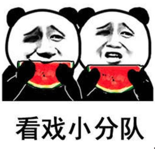 看打架吃瓜,围观打架，瓜分激情瞬间