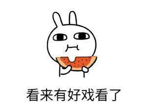 吃瓜不饮酒,畅享无酒生活