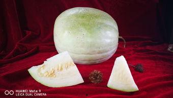 三白瓜吃啥,探寻最佳食用搭配