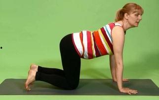 瑜伽老师了了吃瓜,揭秘瑜伽界的“吃瓜”趣事